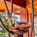 Hébergement de vacances Casa De Perre *