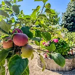 Hébergement de vacances Casa De Perre *